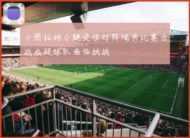 小图拉姆小腿受伤对阵瑞典比赛出战成疑球队面临挑战